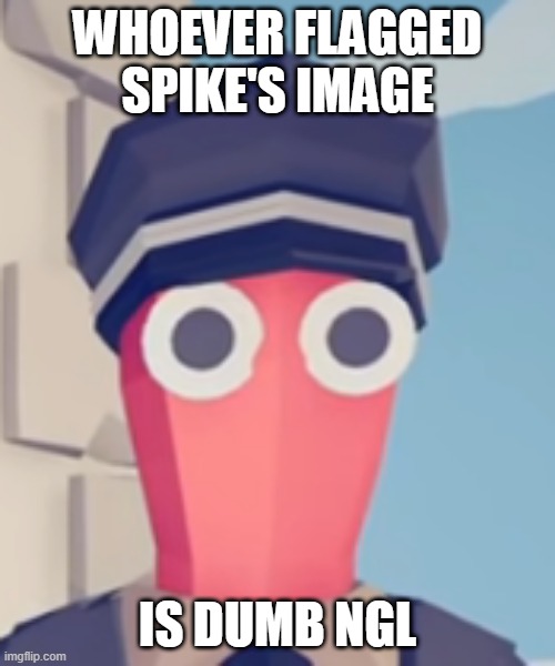 TABS Stare | WHOEVER FLAGGED SPIKE'S IMAGE; IS DUMB NGL | image tagged in tabs stare | made w/ Imgflip meme maker