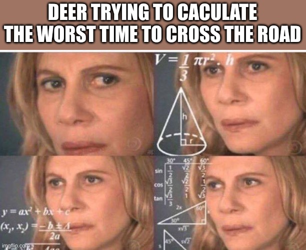 Math lady/Confused lady | DEER TRYING TO CACULATE THE WORST TIME TO CROSS THE ROAD | image tagged in math lady/confused lady | made w/ Imgflip meme maker