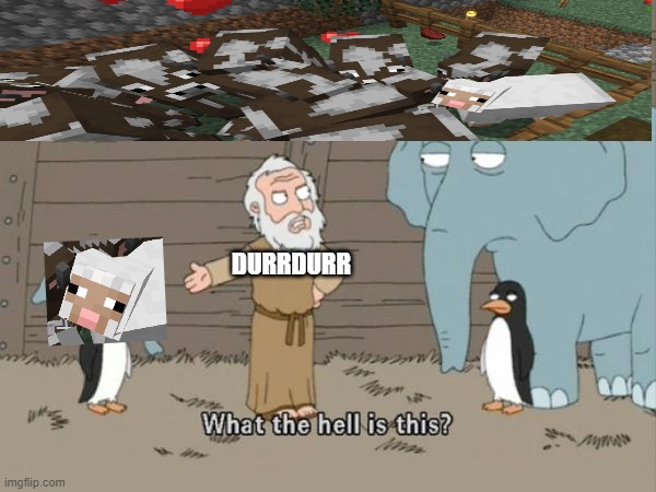 How did we get here? | DURRDURR | image tagged in what the hell is this | made w/ Imgflip meme maker