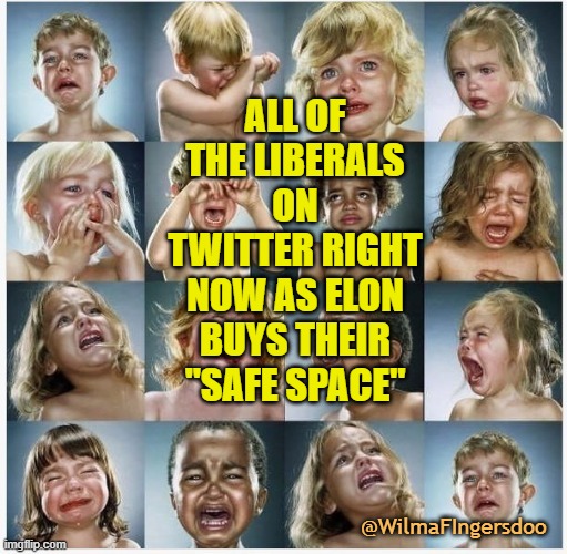 Babies Crying | ALL OF THE LIBERALS ON TWITTER RIGHT NOW AS ELON BUYS THEIR "SAFE SPACE"; @WilmaFIngersdoo | image tagged in babies crying,twitter,musk,elon | made w/ Imgflip meme maker