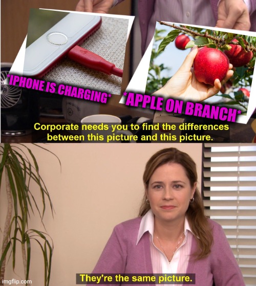 -Just their inner space much different. | *IPHONE IS CHARGING*; *APPLE ON BRANCH* | image tagged in memes,they're the same picture,shot on iphone,apple pie,let it grow,charger | made w/ Imgflip meme maker