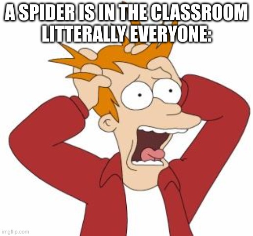 Fry Freaking Out | A SPIDER IS IN THE CLASSROOM
LITTERALLY EVERYONE: | image tagged in fry freaking out | made w/ Imgflip meme maker