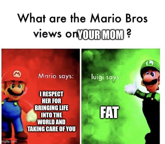 Mario Bros Views | YOUR MOM; I RESPECT HER FOR BRINGING LIFE INTO THE WORLD AND TAKING CARE OF YOU; FAT | image tagged in mario bros views | made w/ Imgflip meme maker
