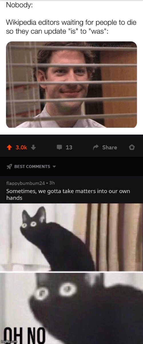 Ohhhhh no. | image tagged in funny,memes,oh no cat | made w/ Imgflip meme maker