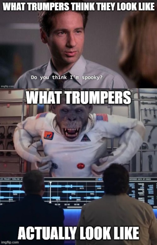 trumpers, self image, reality | image tagged in trumpers,right wing nuts | made w/ Imgflip meme maker