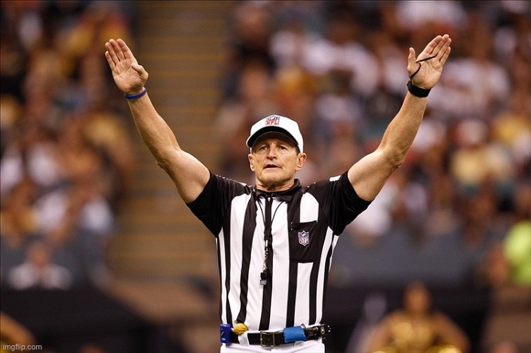 Logical Fallacy Referee NFL #85 | image tagged in logical fallacy referee nfl 85 | made w/ Imgflip meme maker