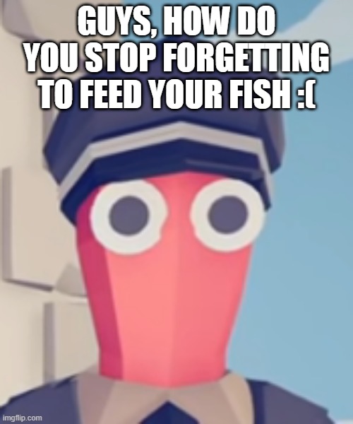 i need honest advice | GUYS, HOW DO YOU STOP FORGETTING TO FEED YOUR FISH :( | image tagged in tabs stare | made w/ Imgflip meme maker