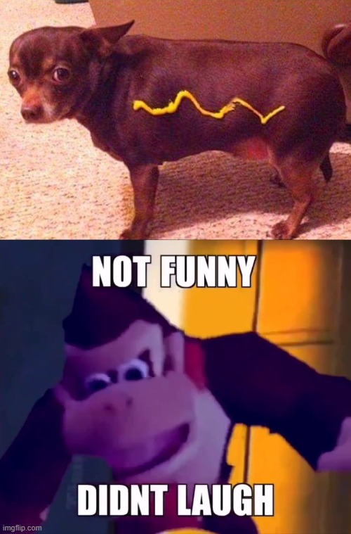 hot dog | image tagged in not funny didn't laugh | made w/ Imgflip meme maker