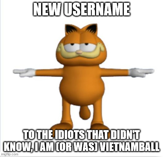 e | NEW USERNAME; TO THE IDIOTS THAT DIDN'T KNOW, I AM (OR WAS) VIETNAMBALL | image tagged in garfield t-pose | made w/ Imgflip meme maker