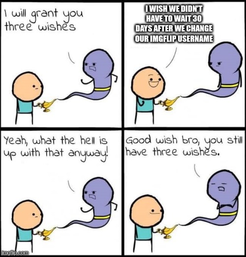 Cyanide and happiness: Imgflip edition |  I WISH WE DIDN'T HAVE TO WAIT 30 DAYS AFTER WE CHANGE OUR IMGFLIP USERNAME | image tagged in i will grant you three wishes | made w/ Imgflip meme maker