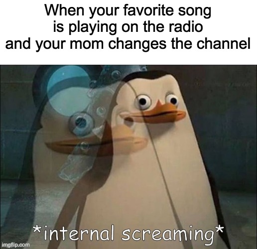 We've all been through this before. | When your favorite song is playing on the radio and your mom changes the channel | image tagged in private internal screaming | made w/ Imgflip meme maker