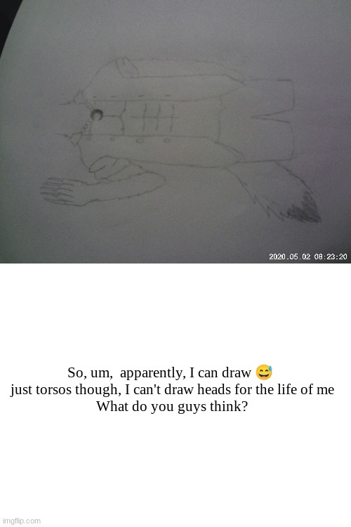 I didn't lie on purpose | So, um,  apparently, I can draw 😅 
just torsos though, I can't draw heads for the life of me
What do you guys think? | image tagged in blank white template | made w/ Imgflip meme maker