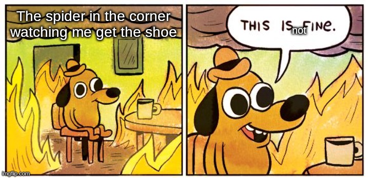spider | not; The spider in the corner watching me get the shoe | image tagged in memes,this is fine | made w/ Imgflip meme maker