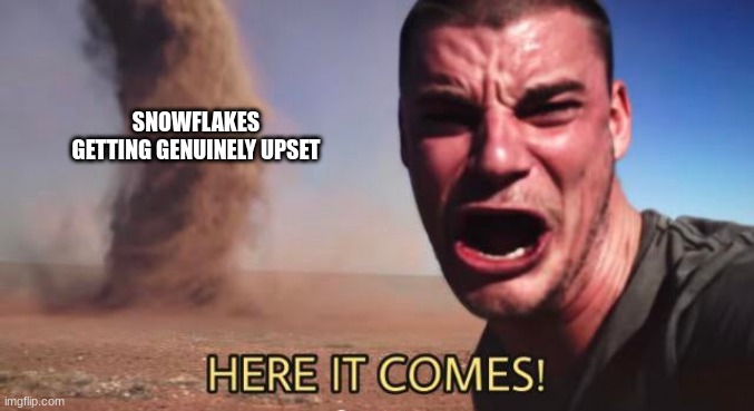 HERE IT COMES! | SNOWFLAKES GETTING GENUINELY UPSET | image tagged in here it comes | made w/ Imgflip meme maker