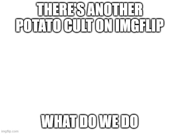 what do we do? | THERE'S ANOTHER POTATO CULT ON IMGFLIP; WHAT DO WE DO | image tagged in blank white template | made w/ Imgflip meme maker