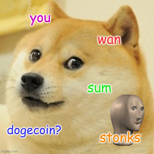 i wan sum doge | you; wan; sum; dogecoin? stonks | image tagged in memes,doge | made w/ Imgflip meme maker
