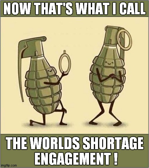 An Explosive Proposal ? | NOW THAT'S WHAT I CALL; THE WORLDS SHORTAGE
 ENGAGEMENT ! | image tagged in grenade,proposal,engagement,dark humour | made w/ Imgflip meme maker