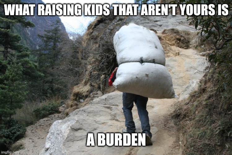 Raising kids that aren't yours | WHAT RAISING KIDS THAT AREN'T YOURS IS; A BURDEN | image tagged in burden,memes | made w/ Imgflip meme maker