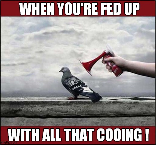 Go Away ! | WHEN YOU'RE FED UP; WITH ALL THAT COOING ! | image tagged in pigeons,go away,air horn | made w/ Imgflip meme maker