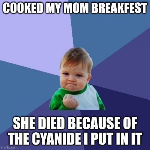 time to check if it's still warm * unzips * | COOKED MY MOM BREAKFEST; SHE DIED BECAUSE OF THE CYANIDE I PUT IN IT | image tagged in memes,success kid | made w/ Imgflip meme maker