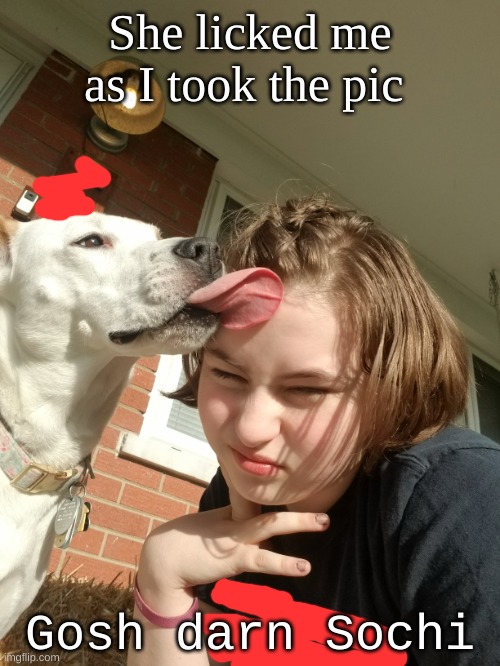 She licked me as I took the pic; Gosh darn Sochi | made w/ Imgflip meme maker
