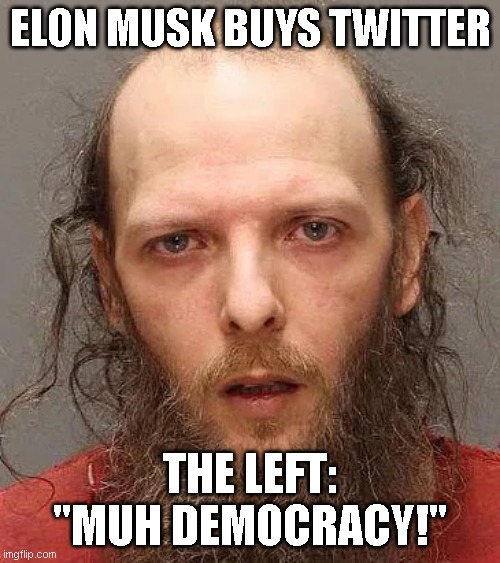 ELON MUSK BUYS TWITTER; THE LEFT: "MUH DEMOCRACY!" | made w/ Imgflip meme maker