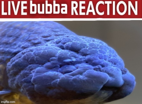 BIG BUBBA | image tagged in big bubba | made w/ Imgflip meme maker