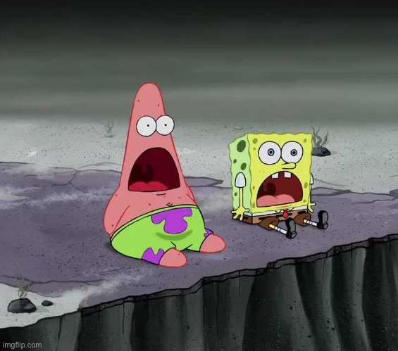 surprised SpongeBob and Patrick | image tagged in surprised spongebob and patrick | made w/ Imgflip meme maker