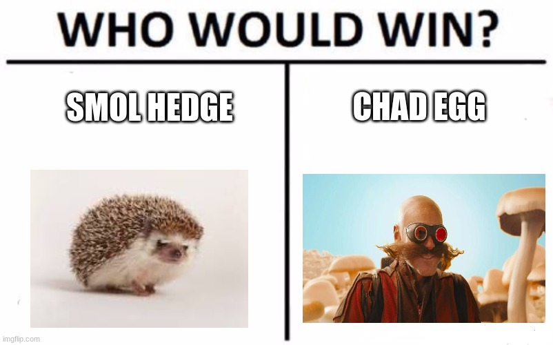 Who Would Win? Meme | CHAD EGG; SMOL HEDGE | image tagged in memes,who would win | made w/ Imgflip meme maker