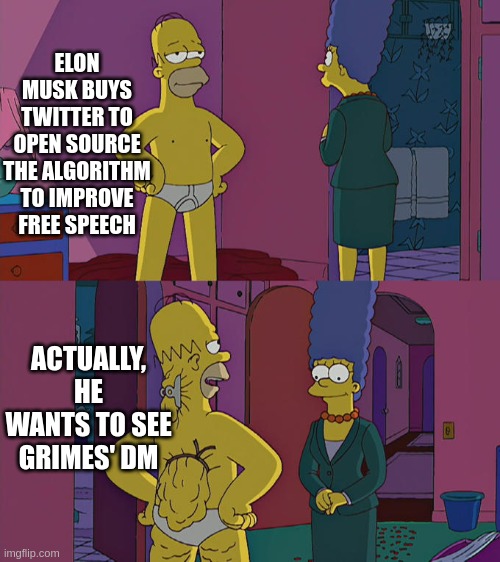 Elon Musk buying Twitter intentions | ELON MUSK BUYS TWITTER TO OPEN SOURCE THE ALGORITHM TO IMPROVE FREE SPEECH; ACTUALLY, HE WANTS TO SEE GRIMES' DM | image tagged in homer simpson's back fat | made w/ Imgflip meme maker