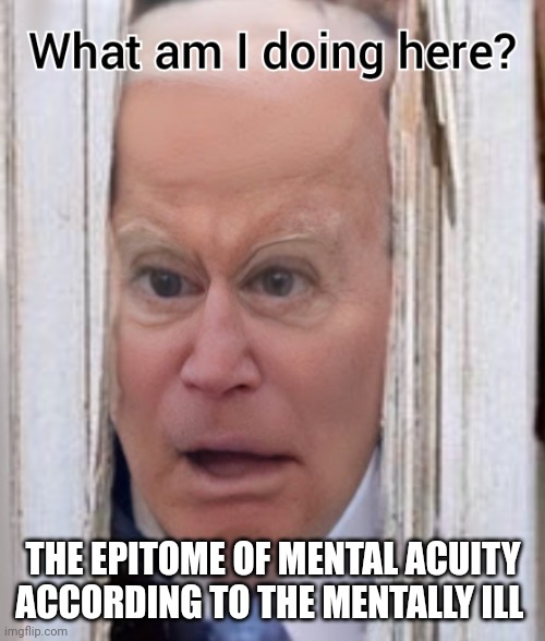 THE EPITOME OF MENTAL ACUITY ACCORDING TO THE MENTALLY ILL | made w/ Imgflip meme maker