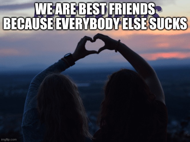 we are best friends because everybody else sucks | WE ARE BEST FRIENDS BECAUSE EVERYBODY ELSE SUCKS | image tagged in funny | made w/ Imgflip meme maker