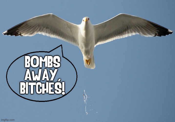 BOMBS
AWAY,
BITCHES! | made w/ Imgflip meme maker