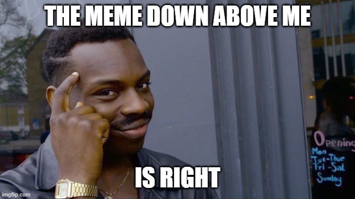 Roll Safe Think About It | THE MEME DOWN ABOVE ME; IS RIGHT | image tagged in memes,roll safe think about it | made w/ Imgflip meme maker