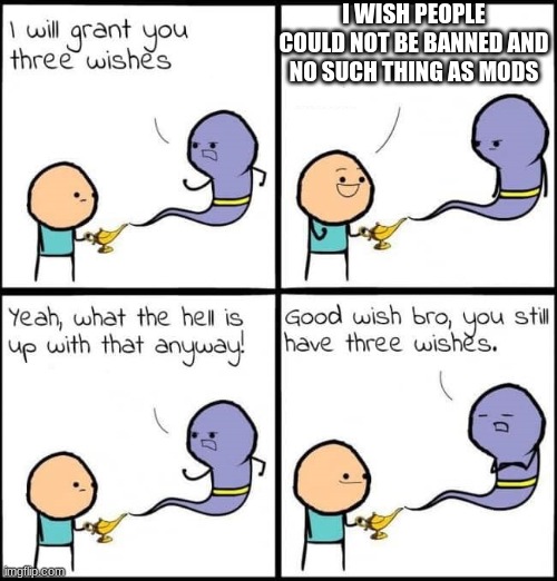 I will grant you three wishes | I WISH PEOPLE COULD NOT BE BANNED AND NO SUCH THING AS MODS | image tagged in i will grant you three wishes | made w/ Imgflip meme maker