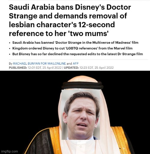 the trumpies should just move to Saudi Arabia, or Russia, they would love it there. | image tagged in saudi arabia king salman fail,florida man,memes,politics,disney,gop hypocrite | made w/ Imgflip meme maker