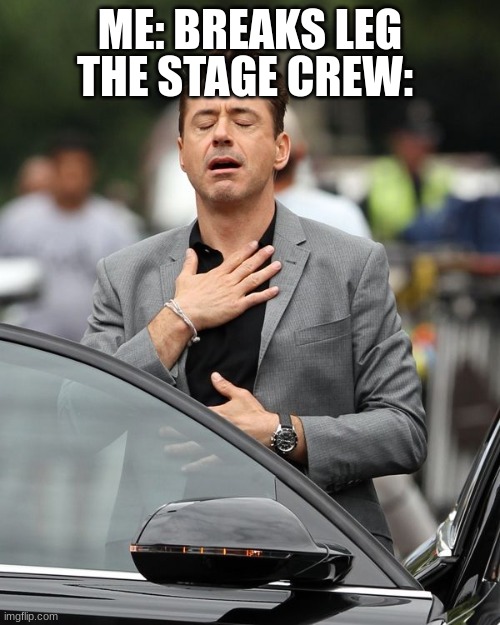 opposite of the other memes XD |  THE STAGE CREW:; ME: BREAKS LEG | image tagged in robert downey jr,opposite,funny,memes | made w/ Imgflip meme maker