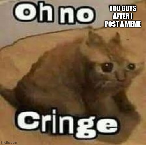 oH nO cRInGe | YOU GUYS AFTER I POST A MEME | image tagged in oh no cringe | made w/ Imgflip meme maker