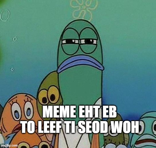 who's the meme now | MEME EHT EB TO LEEF TI SEOD WOH | image tagged in funny | made w/ Imgflip meme maker