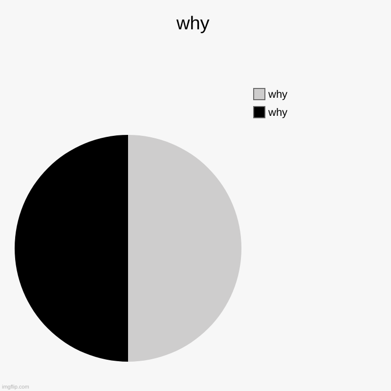 why | why | why, why | image tagged in charts,pie charts | made w/ Imgflip chart maker