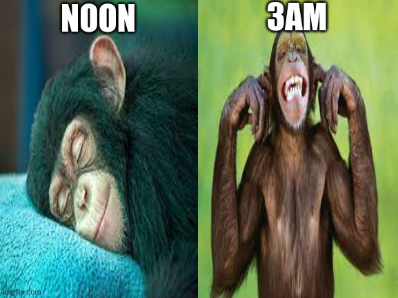 My sleep be like | 3AM; NOON | image tagged in blank white template,funny memes | made w/ Imgflip meme maker