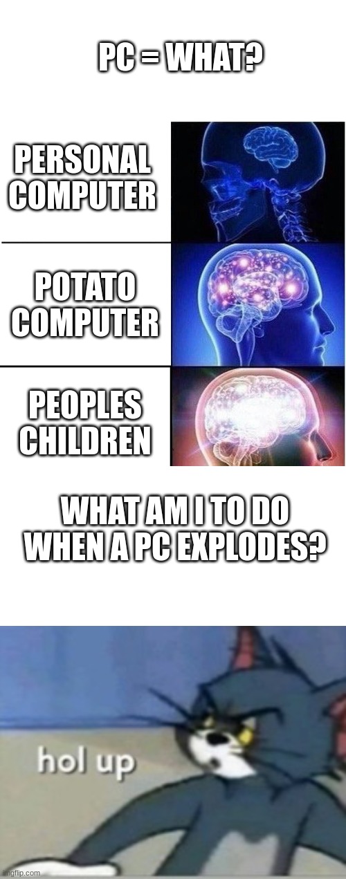 ka-boom-boom | PC = WHAT? PERSONAL COMPUTER; POTATO COMPUTER; PEOPLES CHILDREN; WHAT AM I TO DO WHEN A PC EXPLODES? | image tagged in memes,expanding brain,hol up | made w/ Imgflip meme maker
