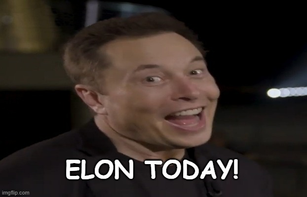 ELON TODAY! | image tagged in elon musk | made w/ Imgflip meme maker