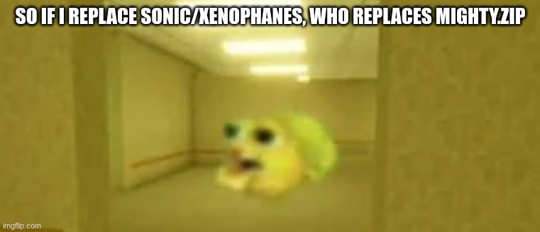 pufferfish in the backrooms | SO IF I REPLACE SONIC/XENOPHANES, WHO REPLACES MIGHTY.ZIP | image tagged in pufferfish in the backrooms | made w/ Imgflip meme maker