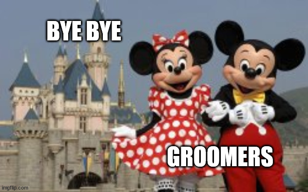 If you don't like paying your fair share... MOVE | BYE BYE; GROOMERS | image tagged in corporate greed,disney | made w/ Imgflip meme maker