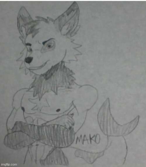 Mako the Shark-Dog (for SussyCinderace_hehe) | image tagged in furry,art,request | made w/ Imgflip meme maker