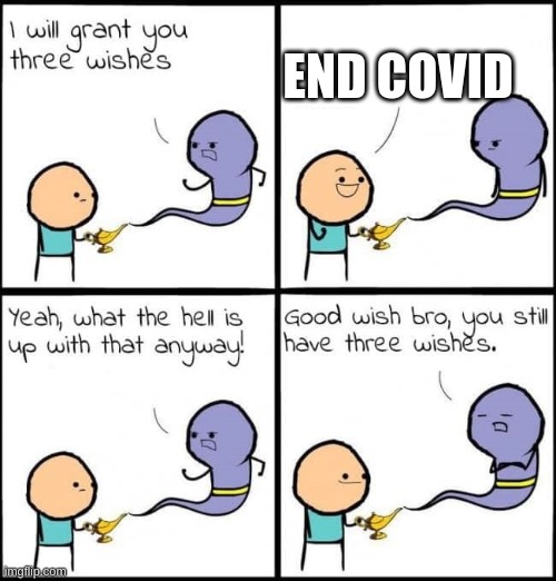 best wish | END COVID | image tagged in i will grant you three wishes | made w/ Imgflip meme maker