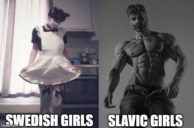 Strongest Fan VS Weakest Fan | SWEDISH GIRLS SLAVIC GIRLS | image tagged in strongest fan vs weakest fan | made w/ Imgflip meme maker