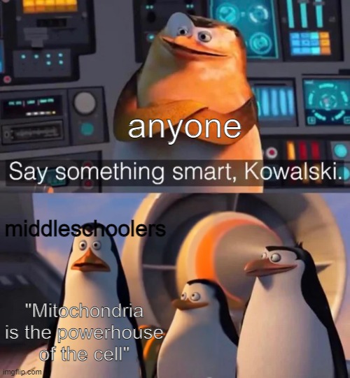 Say something smart Kowalski | anyone; middleschoolers; "Mitochondria is the powerhouse of the cell" | image tagged in say something smart kowalski | made w/ Imgflip meme maker