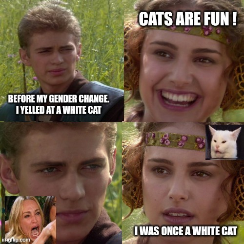 Part 2: Now THAT Changes Everything! | BEFORE MY GENDER CHANGE. I YELLED AT A WHITE CAT | image tagged in memes,funny memes,anakin padme 4 panel,tuesday,toronto blue jays | made w/ Imgflip meme maker